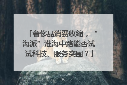 奢侈品消费收缩，“海派”淮海中路能否试试科技、服务突围？