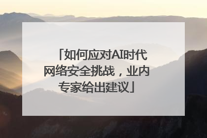 如何应对AI时代网络安全挑战，业内专家给出建议