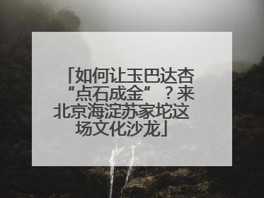 如何让玉巴达杏“点石成金”？来北京海淀苏家坨这场文化沙龙