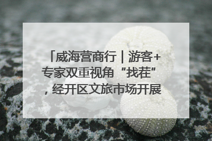 威海营商行｜游客+专家双重视角“找茬”，经开区文旅市场开展暑期前“体检”