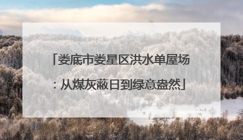 娄底市娄星区洪水单屋场：从煤灰蔽日到绿意盎然