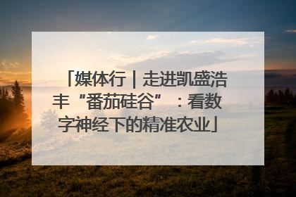 媒体行｜走进凯盛浩丰“番茄硅谷”：看数字神经下的精准农业