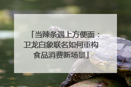当辣条遇上方便面：卫龙白象联名如何重构食品消费新场景