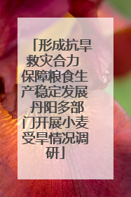 形成抗旱救灾合力 保障粮食生产稳定发展 丹阳多部门开展小麦受旱情况调研