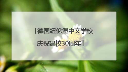德国纽伦堡中文学校庆祝建校30周年