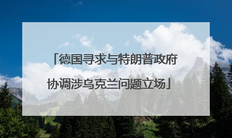 德国寻求与特朗普政府协调涉乌克兰问题立场
