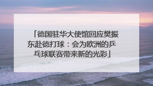 德国驻华大使馆回应樊振东赴德打球：会为欧洲的乒乓球联赛带来新的光彩