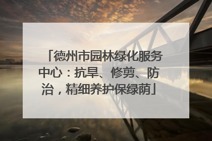 德州市园林绿化服务中心：抗旱、修剪、防治，精细养护保绿荫