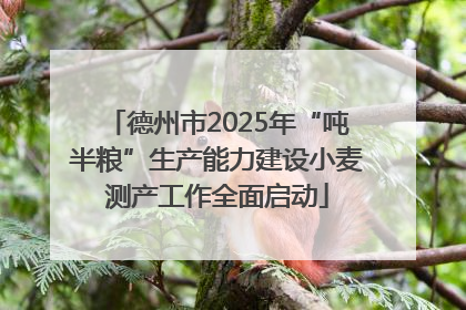 德州市2025年“吨半粮”生产能力建设小麦测产工作全面启动