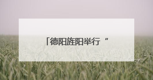 德阳旌阳举行“民营企业服务月”专场招聘会