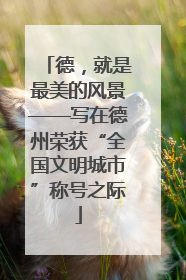 德，就是最美的风景——写在德州荣获“全国文明城市”称号之际