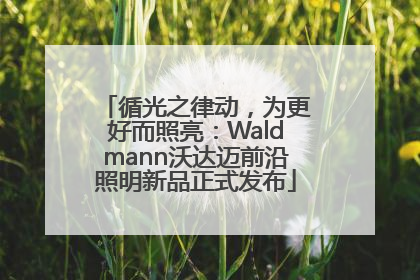 循光之律动，为更好而照亮：Waldmann沃达迈前沿照明新品正式发布