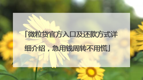 微粒贷官方入口及还款方式详细介绍，急用钱周转不用慌