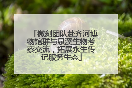 微刻团队赴齐河博物馆群与泉溪生物考察交流，拓展永生传记服务生态