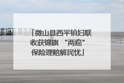 微山县西平镇妇联收获锦旗 “两癌”保险理赔解民忧