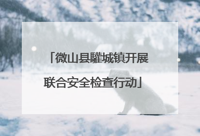 微山县驩城镇开展联合安全检查行动