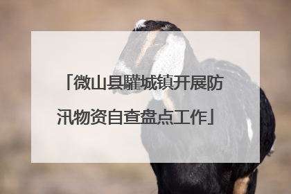 微山县驩城镇开展防汛物资自查盘点工作