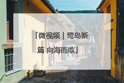 微视频｜鹭岛新篇 向海而歌