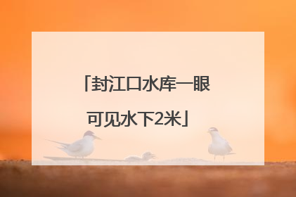 封江口水库一眼可见水下2米