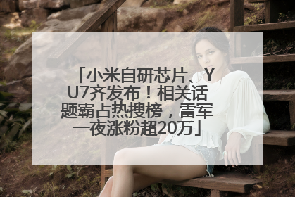 小米自研芯片、YU7齐发布！相关话题霸占热搜榜，雷军一夜涨粉超20万