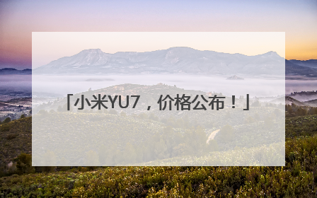 小米YU7，价格公布！