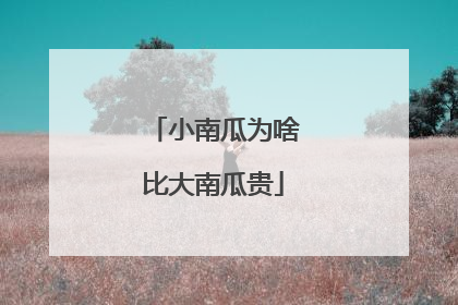小南瓜为啥比大南瓜贵