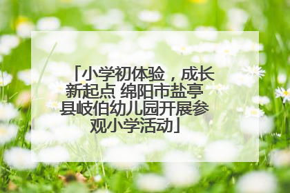小学初体验，成长新起点 绵阳市盐亭县岐伯幼儿园开展参观小学活动