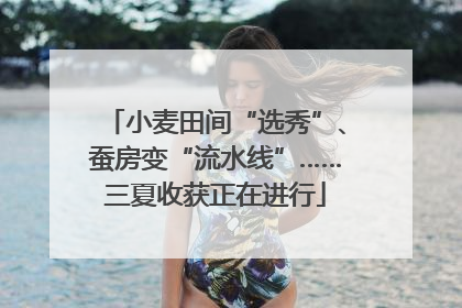 小麦田间“选秀”、蚕房变“流水线”……三夏收获正在进行