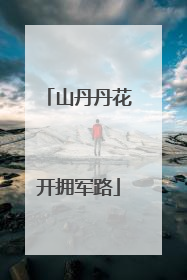 山丹丹花开拥军路