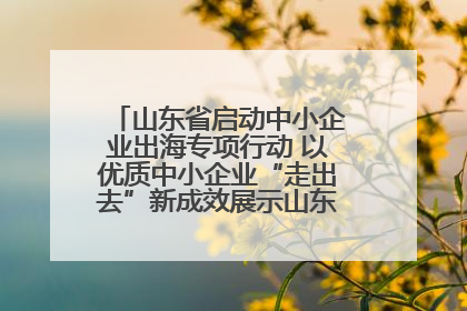 山东省启动中小企业出海专项行动 以优质中小企业“走出去”新成效展示山东产业发展新形象