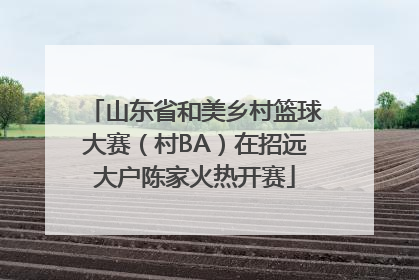 山东省和美乡村篮球大赛（村BA）在招远大户陈家火热开赛