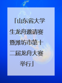山东省大学生龙舟邀请赛暨潍坊市第十二届龙舟大赛举行