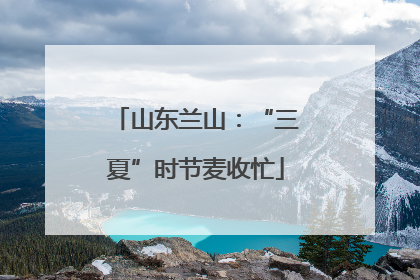山东兰山：“三夏”时节麦收忙