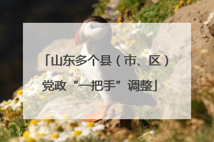 山东多个县（市、区）党政“一把手”调整