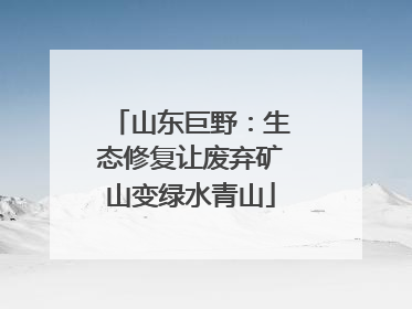 山东巨野：生态修复让废弃矿山变绿水青山