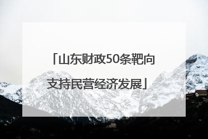 山东财政50条靶向支持民营经济发展
