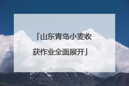 山东青岛小麦收获作业全面展开