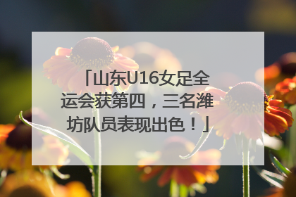 山东U16女足全运会获第四，三名潍坊队员表现出色！