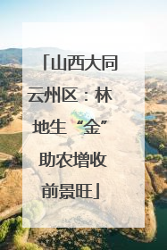 山西大同云州区：林地生“金” 助农增收前景旺