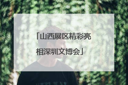 山西展区精彩亮相深圳文博会