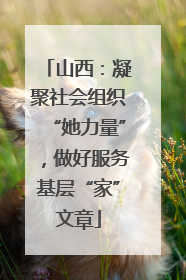 山西：凝聚社会组织“她力量”，做好服务基层“家”文章