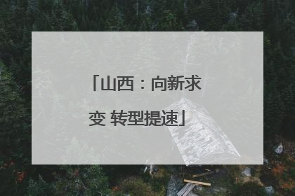 山西：向新求变 转型提速