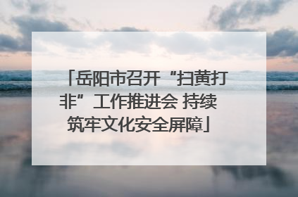 岳阳市召开“扫黄打非”工作推进会 持续筑牢文化安全屏障