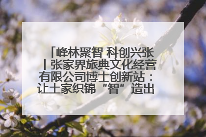 峰林聚智 科创兴张丨张家界旅典文化经营有限公司博士创新站：让土家织锦“智”造出非遗新传奇