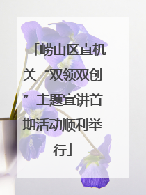 崂山区直机关“双领双创”主题宣讲首期活动顺利举行