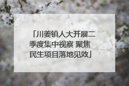 川姜镇人大开展二季度集中视察 聚焦民生项目落地见效