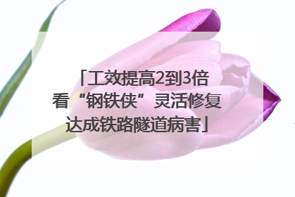工效提高2到3倍 看“钢铁侠”灵活修复达成铁路隧道病害