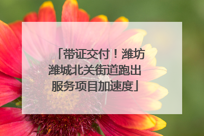 带证交付！潍坊潍城北关街道跑出服务项目加速度