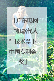 广东电网“机器代人”技术拿下中国专利金奖