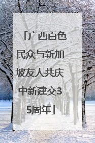 广西百色民众与新加坡友人共庆中新建交35周年